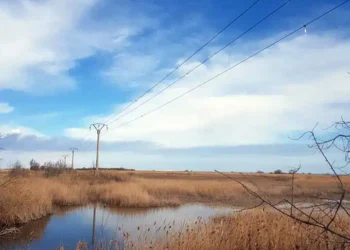 Proiectul „Life Danube Free Sky” de protejare a păsărilor de electrocutare a fost finalizat