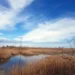 Proiectul „Life Danube Free Sky” de protejare a păsărilor de electrocutare a fost finalizat