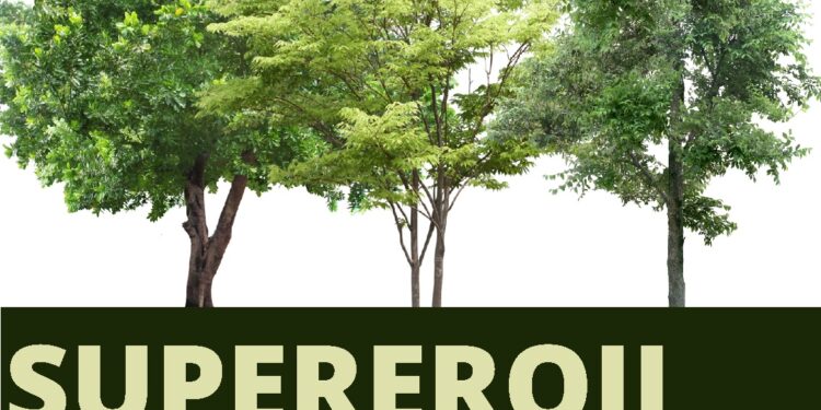 „Săptămâna Verde” la Tulcea, o lecția practică a copiilor în natură, pentru comunitate