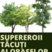 „Săptămâna Verde” la Tulcea, o lecția practică a copiilor în natură, pentru comunitate