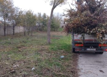 Zi de zi pentru un oraș mai curat și mai verde