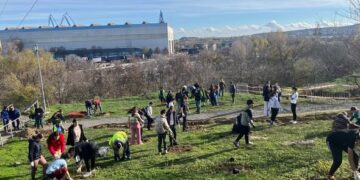 800 de puieți, plantați astăzi în zona cartierului Dallas