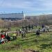 800 de puieți, plantați astăzi în zona cartierului Dallas