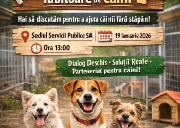 Provocarea Serviciilor Publice pentru ONG-uri cu protecția animalelor