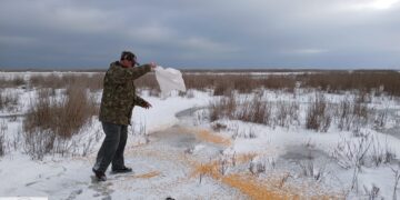 Acțiuni de hrănire a păsărilor în Delta înghețată