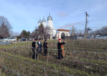 Visarion a binecuvântat viile de la Saon