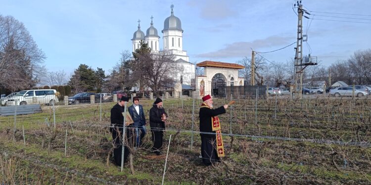 Visarion a binecuvântat viile de la Saon