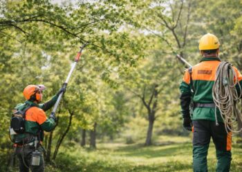 Servicii Publice caută meseriași în spații verzi, arboricultor și/sau peisagist-floricultor