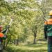 Servicii Publice caută meseriași în spații verzi, arboricultor și/sau peisagist-floricultor