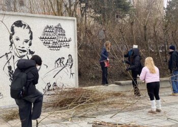 În jurul Memorialului Ivan Patzaichin, studenți francezi și liceeni tulceni extind spațiul verde