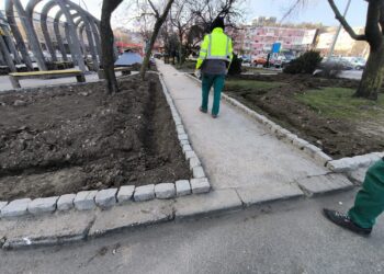 Servicii Publice: „Ne pasă de orașul nostru!”