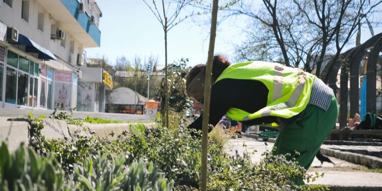 Municipiul prinde viață prin oameni dedicați