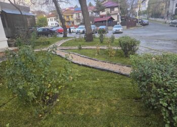 Se aruncă cu noroi în Servicii Publice, nemeritat! Reacția directoarei Ionela Bumbac
