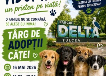 Sâmbătă, Târgul de Adopții căței, în parcul din fața Hotelului Delta