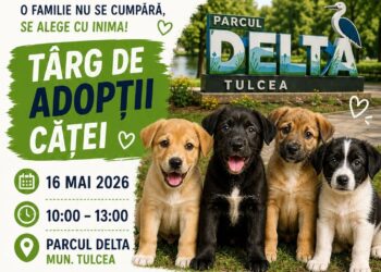 Curând, Târg de Adopții pentru căței, în Parcul Delta din municipiu