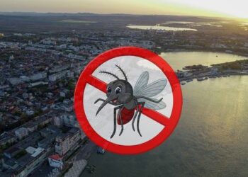 Începe dezinsecția în municipiu