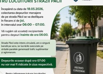 O oră pentru gunoiul de pe Păcii, dis-de-dimineață!