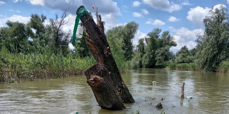 Atenție pe canalul Crânjală/ Un ciot de salcie poate scufunda ambarcațiuni