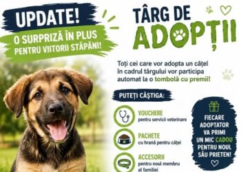 Sâmbătă, un nou Târg de Adopții căței. Cu tombolă!