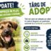 Sâmbătă, un nou Târg de Adopții căței. Cu tombolă!