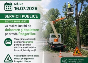Servicii Publice solicită prioritate pentru doborâre și toaletare arbori pe str.Podgoriilor din municipiu