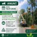 Servicii Publice solicită prioritate pentru doborâre și toaletare arbori pe str.Podgoriilor din municipiu