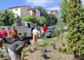 Adevăratele gospodine din municipiu, la treabă