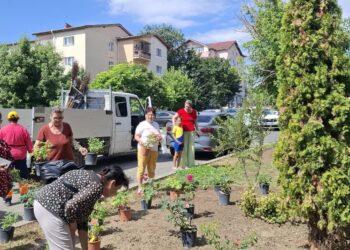 Adevăratele gospodine din municipiu, la treabă