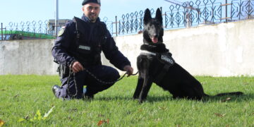 Danko, proaspăt „școlit” pentru Patrulare-Intervenție