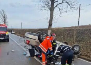 Beată criță la volan a intrat într-un pom pe ruta Tulcea- Agighiol. Mare noroc a avut!
