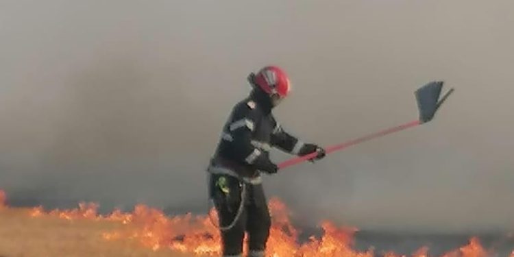 Amploarea incendiilor de vegetație în județ de la începutul acestui an