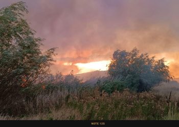 Foc pe 15 ha de vegetație uscată și stuf între Murighiol și Mahmudia