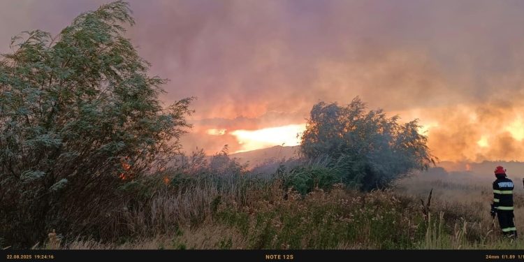 Foc pe 15 ha de vegetație uscată și stuf între Murighiol și Mahmudia