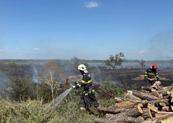 Incendiu la Murighiol