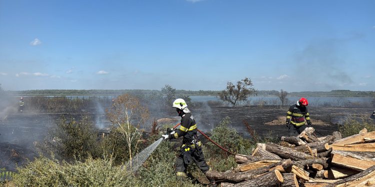 Incendiu la Murighiol