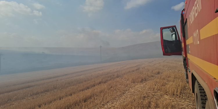 Arde pe câmp în apropiere de Agighiol. S-a aprins și la Topolca- Sireasa
