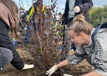 Elevi din două școli contribuie la extinderea fondului dendrologic al municipiului în „Săptămâna Verde”