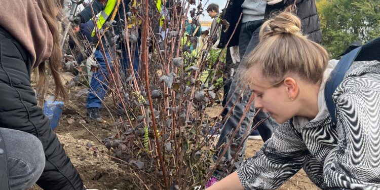 Elevi din două școli contribuie la extinderea fondului dendrologic al municipiului în „Săptămâna Verde”