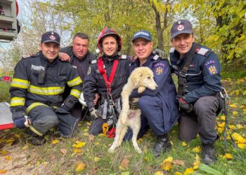 Cățelușă salvată de pompieri dintr-o fântână adâncă din Valea Nucarilor