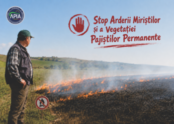 Atenționare de la APIA: Incendierea intenționată a miriștei ustură tare la buzunar!