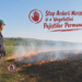 Atenționare de la APIA: Incendierea intenționată a miriștei ustură tare la buzunar!