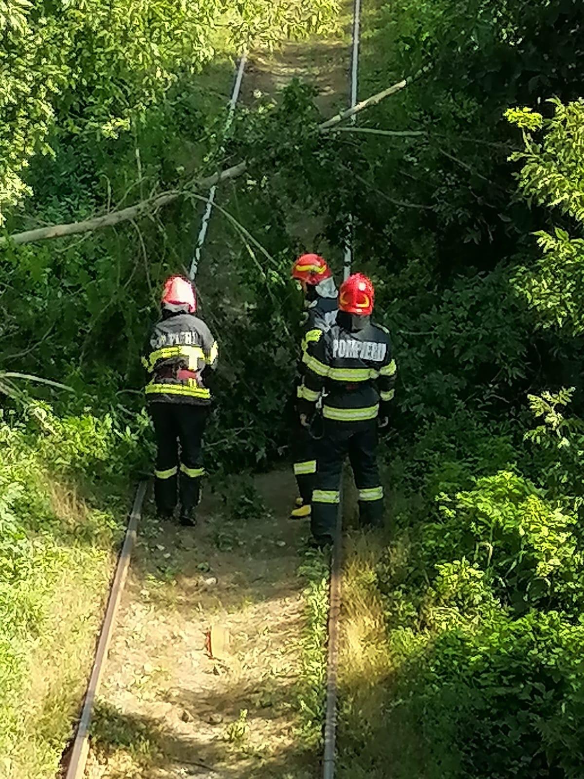 Un copac a căzut peste calea ferată, aproape de gară. Săracul…!