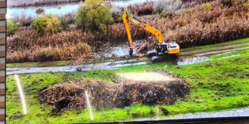 Intervenția pilot din Polderul Zaghen, în dezbaterea stakeholderilor la Primăria municipiului