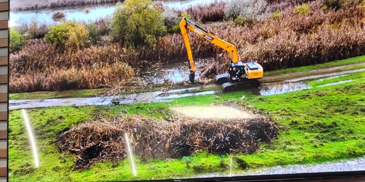 Intervenția pilot din Polderul Zaghen, în dezbaterea stakeholderilor la Primăria municipiului