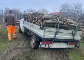 A venit frigul, se fură lemne!