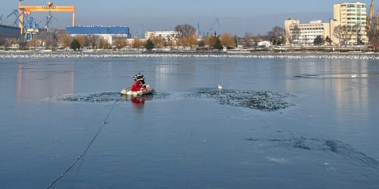 Un rățoi și rața lui, prinși între sloiuri pe Ciuperca, salvați de pompieri