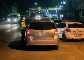 Controale pe raza Măcinului. Amenzi mari și lemn confiscat