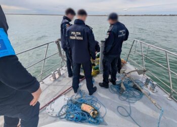 17 sturioni salvați din plasele braconierilor de polițiștii de frontieră pe Marea Neagră