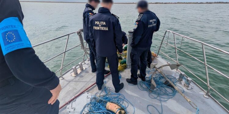 17 sturioni salvați din plasele braconierilor de polițiștii de frontieră pe Marea Neagră