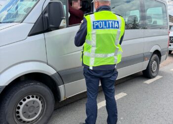 Șoferii care își uită actele acasă nu vor mai fi amendați. Senatorii au votat, decizia e la deputați